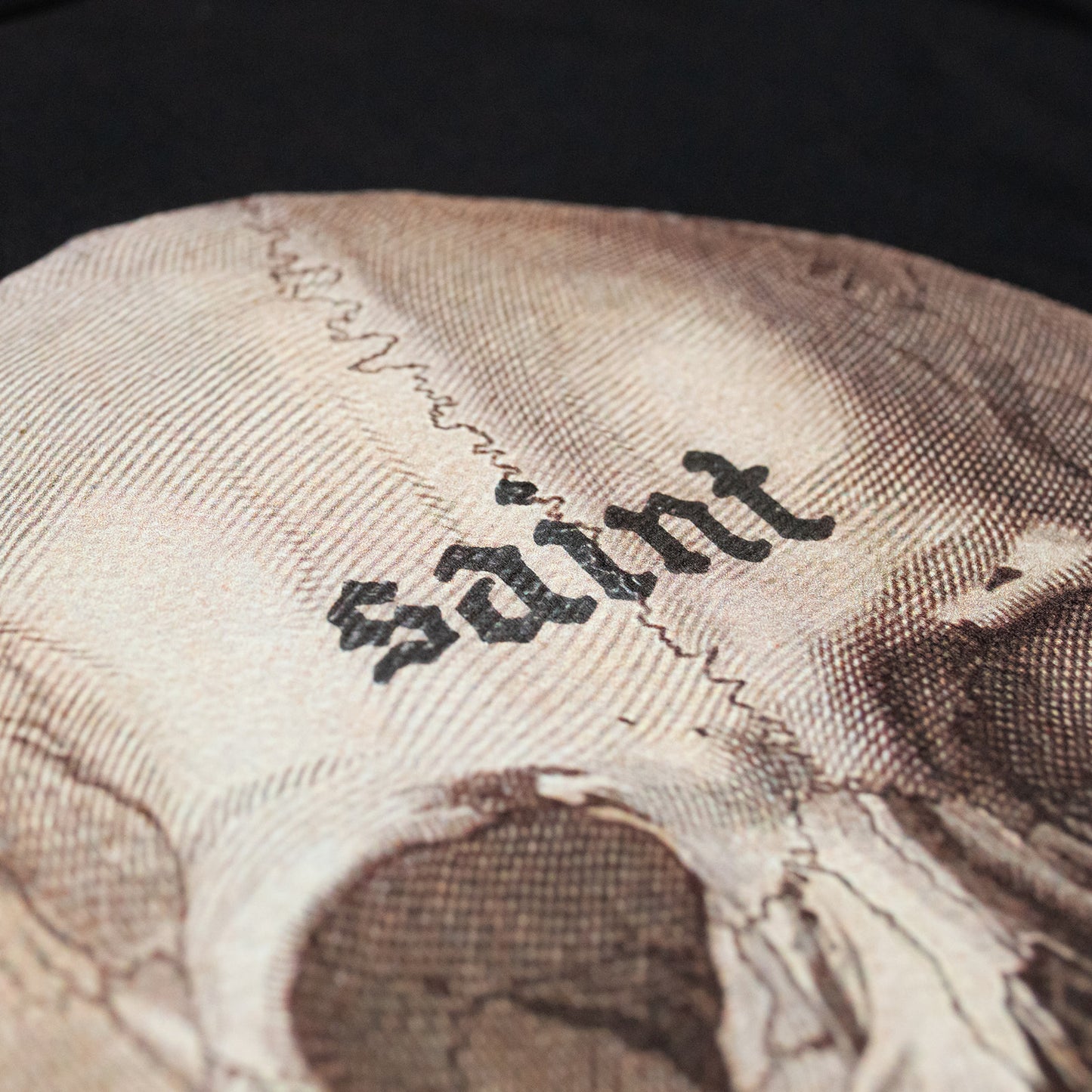 "SKULL & ROSES" T-SHIRT